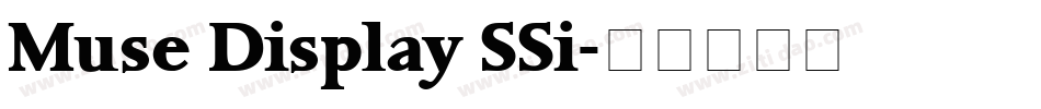 Muse Display SSi字体转换